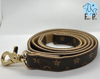 gucci cat collar