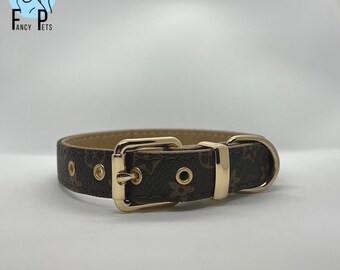 gucci cat collar