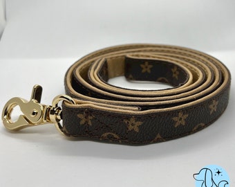 cat gucci collar