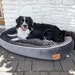 see more listings in the DOG BED section