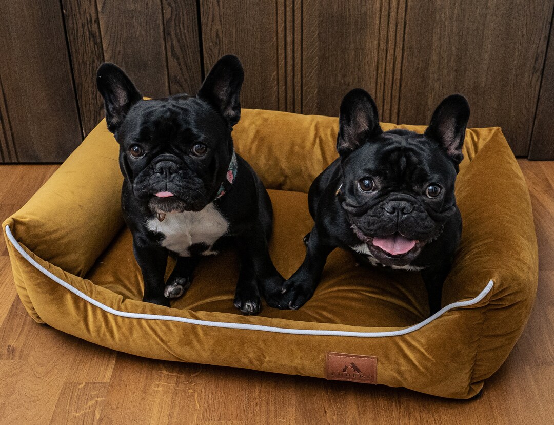 Dog Bed Spicy Dog Sofa for Small Medium Large Dogs Washable Dog Bed