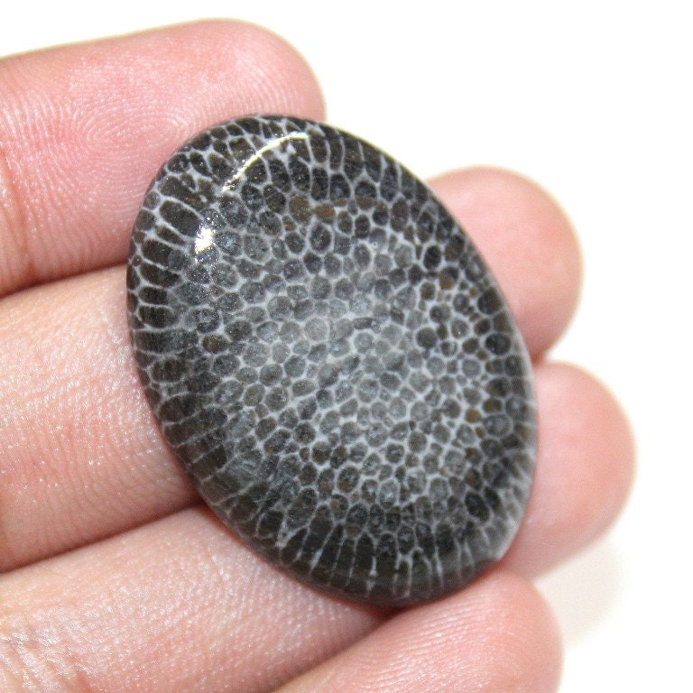 Black coral gem outlet