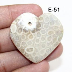 Light Fossil Coral Cabochon | Flower Fossil Gemstone | Natural Beige Fossilized Coral for Jewelry | Healing Crystal Cab | Rare Craft Supply