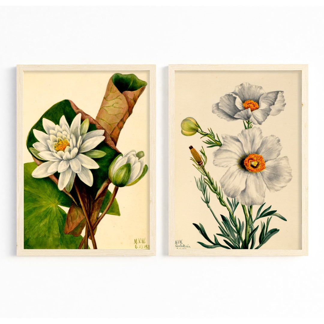 Botanical Prints Set of 2 Vintage Farmhouse Decor, Antique Wildflower ...
