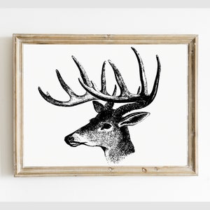 Deer Caribou Buck PRINTABLE Sketch Drawing, Vintage Deer Antler Digital Wall Art, Hunter Cabin Decor, Instant Download #006