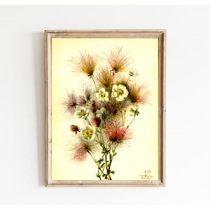 Puede incluir: Una ilustración botánica vintage de un ramo de flores blancas y rosas con pétalos plumosos. Las flores están dispuestas en un jarrón y están rodeadas de hojas verdes. La ilustración está sobre un fondo amarillo y está enmarcada en un marco de madera.