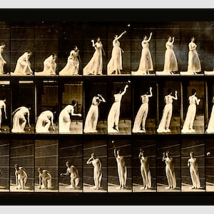 Vintage Motion Photo Moving Pictures, Woman Throwing A Ball, Antique Digital Wall Art Photography, Early Cinema Contact Sheet, #449