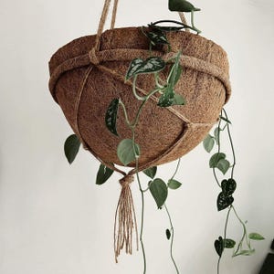 Op de afbeelding: Een hangende plantenbak van bruine kokosvezel, vastgehouden door een macram&eacute;net van natuurlijk jutekoord met een kwastje aan de onderkant. Een hangplant met hartvormige groene bladeren met zilverkleurige variatie groeit uit de komvormige houder.