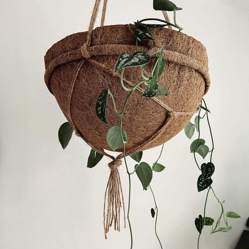 Op de afbeelding: Een hangende plantenbak van bruine kokosvezel, vastgehouden door een macram&eacute;net van natuurlijk jutekoord met een kwastje aan de onderkant. Een hangplant met hartvormige groene bladeren met zilverkleurige variatie groeit uit de komvormige houder.