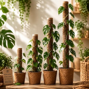 May include: Four potted plants with climbing vines wrapped around tall, cylindrical brown coir moss poles. Each plant is in a textured brown pot. A rectangular tag with the text Natural Support, Strong & Durable, 100% Natural Coir, Back to the Earth is visible.