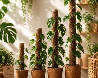 Monstera Moss Pole – Coir Plant Support Pole for Climbing Indoor Plants | Pothos & Philodendron Stake