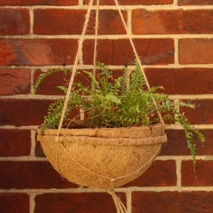 May include: A hanging planter made of natural coir fibre, with a green fern plant growing inside. The planter is suspended from a brick wall by a rope.