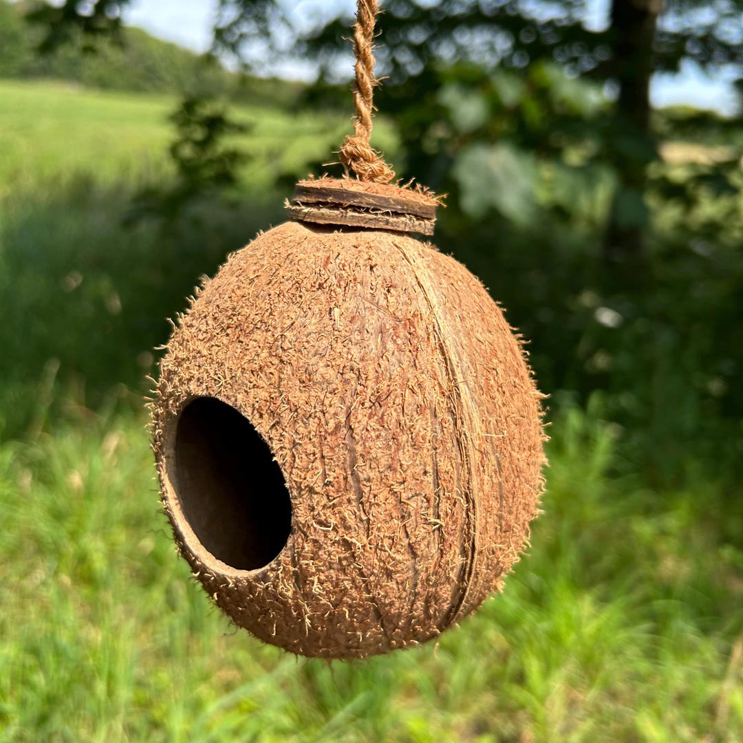 Eco-friendly Coconut Shell Bird Nest: Garden Decor - Etsy