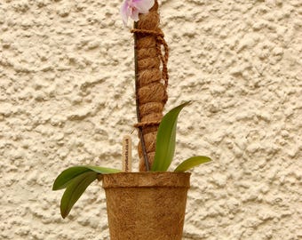 Natural Coir Moss Pole – Climbing Houseplant Support for Monstera, Pothos, Philodendron