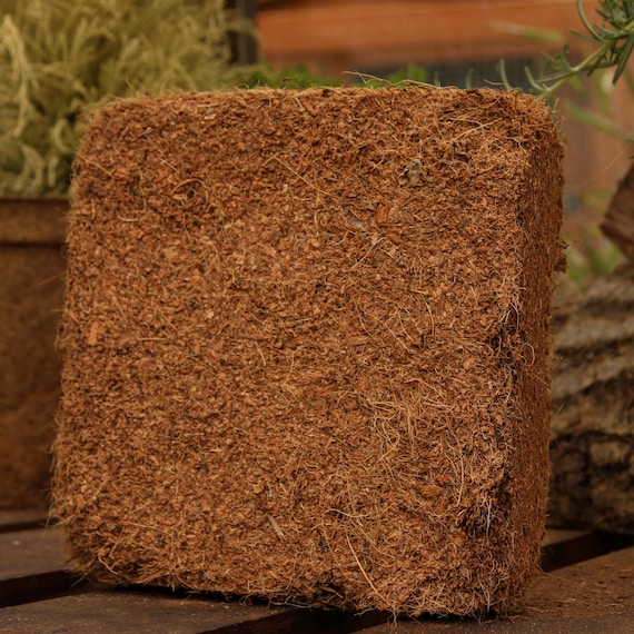 Coirproducts Peat-free Coir Potting Mix  Vegan, Sustainable Soil Substrate  for Healthy Plants (10L & 80L) - Etsy Israel