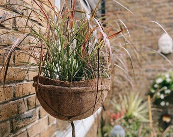 Coco liners | natural, biodegradable coir liners for hanging basket | natural, eco-friendly basket liners -a range of sizes| pack of 2