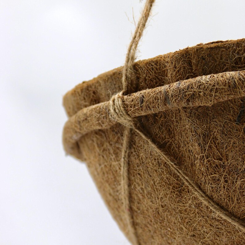 Op de afbeelding: Een bruine, komvormige hangende plantenbakvoering gemaakt van vezelig kokosvezelmateriaal. De plantenbak heeft een dikke, verstevigde cirkelvormige rand en wordt opgehangen aan dunne, natuurkleurige touwtjes die stevig rond de bovenrand zijn geknoopt.