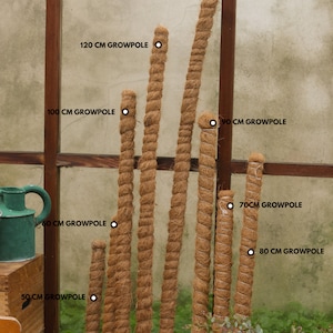 Coir moss poles in a range of sizes - 50, 60, 70, 80, 90, 100, 120, 140 and 200cm