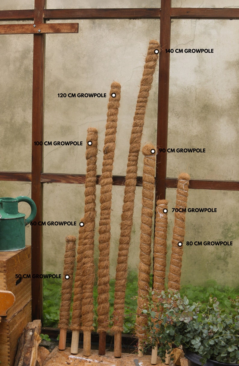 Coir moss poles in a range of sizes - 50, 60, 70, 80, 90, 100, 120, 140 and 200cm