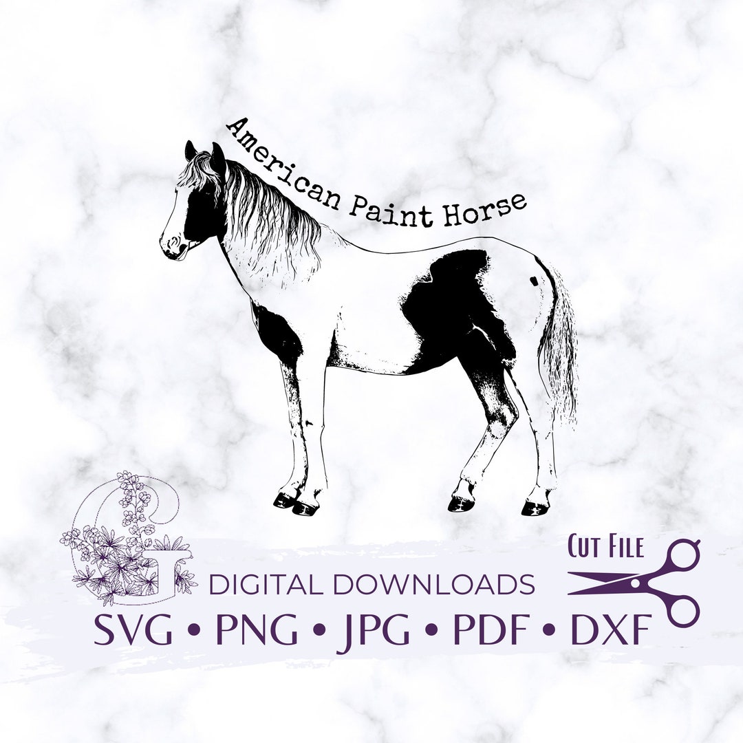 Paint Horse Svg, American Svg, Horse Svg, Paint Horse Silhouette, Svg