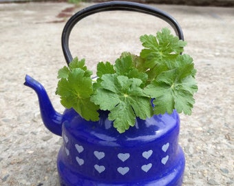 Vintage blauw geëmailleerde theepot: jaren 70 rustiek keukendecor