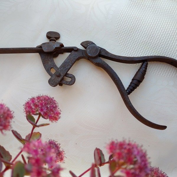 Vintage  Steel Pliers ,Old Pliers To Adjust The Band Saw Teeth ,Antique Nippers ,Primitive Tool,