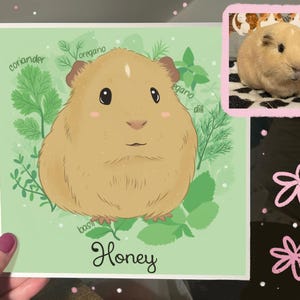 Cute custom Guinea Pig portrait (painting, pet, memorial gift, cage decor, guineapig lover, owner art, rodent, rat, hamster, mouse, rabbit)