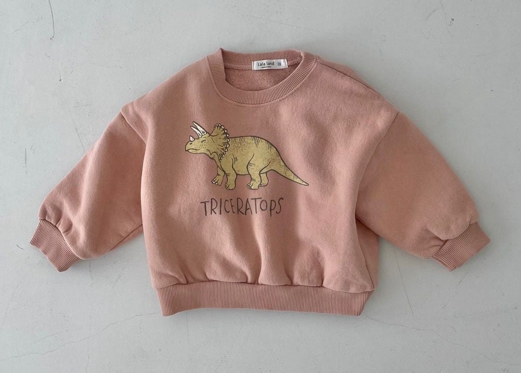triceratops sweatshirt