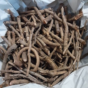 1 pound North Carolina Fresh dug Sassafras tea root