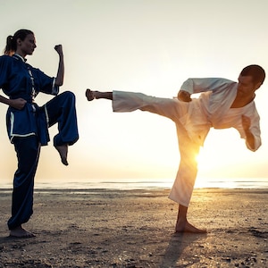 Customized Martial Arts Lesson / Kung Fu