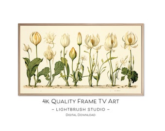 Botanical art for Samsung Frame TVs, digital watercolor & pencil, botanical nature art for digital display, garden art and herbs