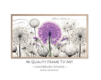 Allium Poster Art for Framed TVs, 4k quality, digital painting, classic flower art for digital display, botanical nature, garden art