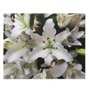 Lilies in Punta Cana, Puzzle (500-Piece)