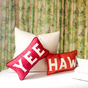 Yee Haw Needlepoint Pillows- Pink