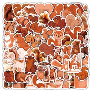 Paquete de 50 lindas pegatinas Stickerbomb estilo ardilla / ardilla