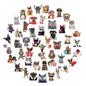 Può includere: Un set di 50 adesivi colorati con vari animali dei cartoni animati che indossano occhiali da sole, cappelli e altri accessori. Gli adesivi sono perfetti per aggiungere un tocco divertente e stravagante a laptop, borracce, quaderni e altro ancora.