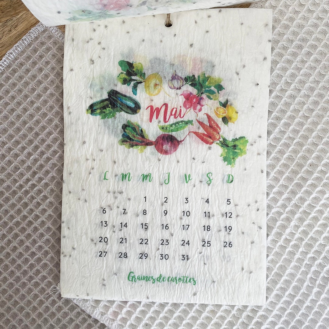 Seeded Calendar to Plant 2024 Vegetables A6 Format Etsy