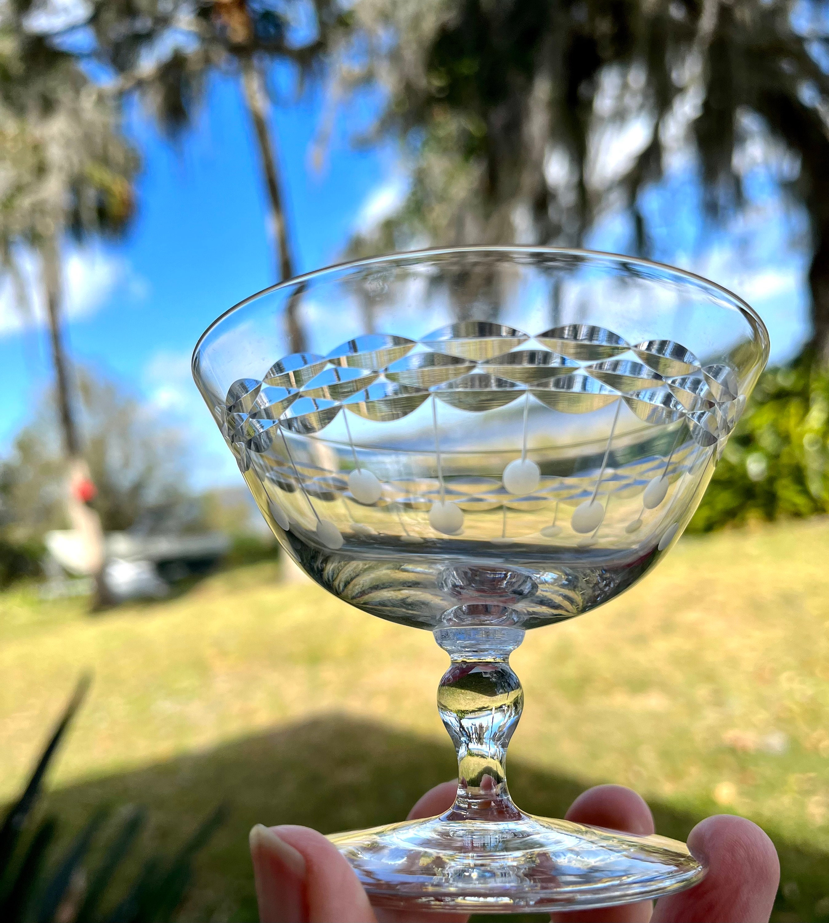 Vintage Set of 5 Etched Glass Dessert Cups Etsy