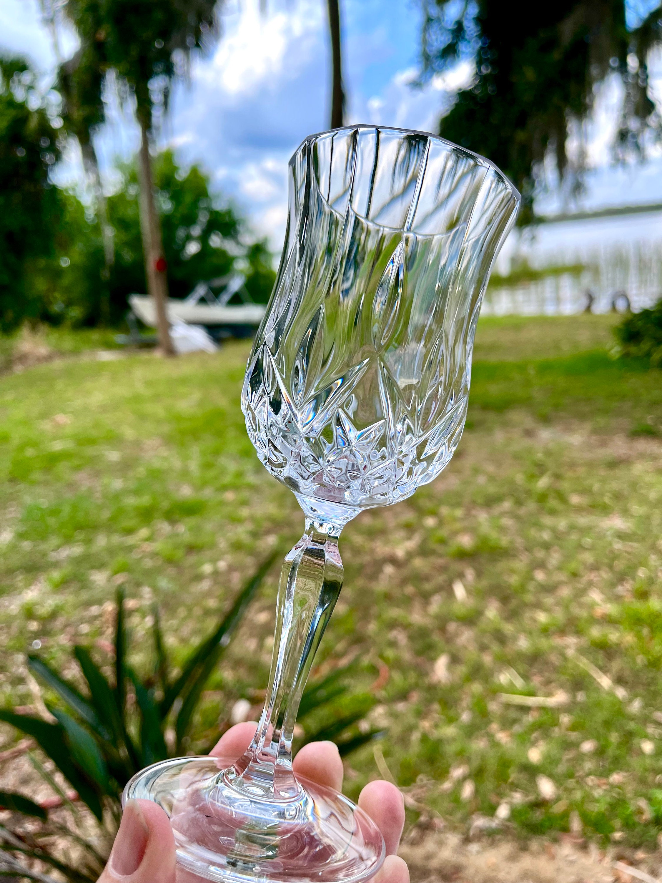 Vintage Italian Crystal Wine Glasses 