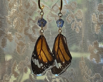 REAL Monarch Butterfly Wing Earrings
