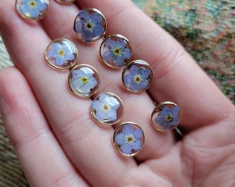 REAL Forget-Me-Not Studs