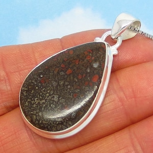 Gembone Agatized Dinosaur Bone Fossil Pendant or Necklace Sterling Silver 241586