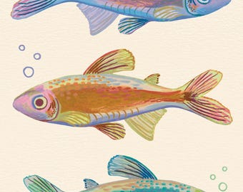 Rainbow Fish Print