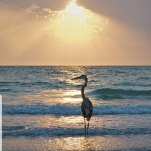 The Emerald coast
