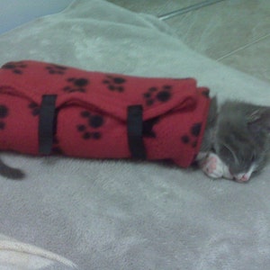 May include: A gray kitten sleeping next to a red pet carrier. The carrier is made of red fabric with black paw prints and black straps. The kitten is curled up on a gray blanket.