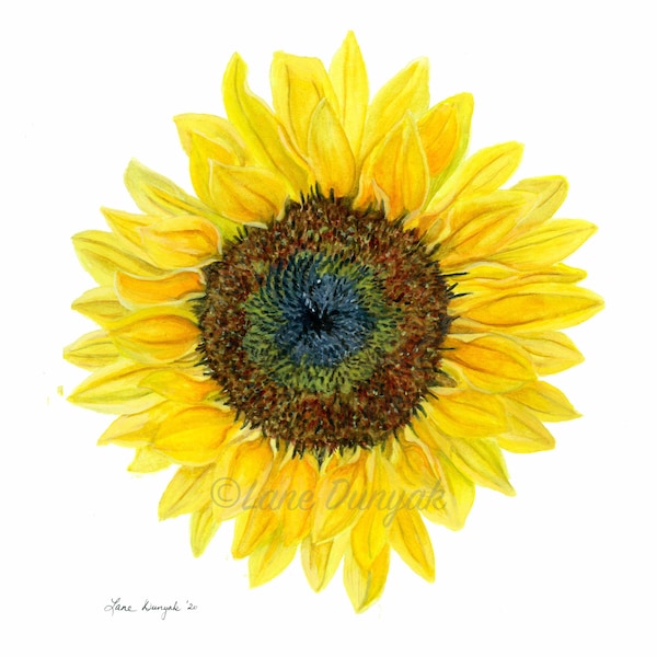 Sunflower Art Print, Watercolor Painting, Yellow Flower, 4x6, 5x7, 8x10, 11x14, Wall Art, Home Decor, Gift Idea For Her, Mother's Day Gifts