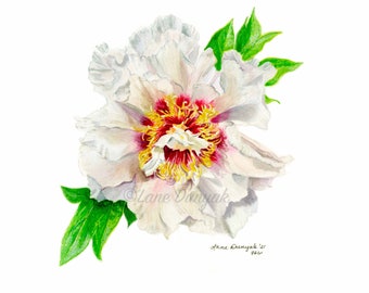 Peony Art Print, Watercolor Painting, White Flower, 4x6, 5x7, 8x10, 11x14, Home Decor, Wall Art, Gift Ideas, For Her, Mother's Day Gifts