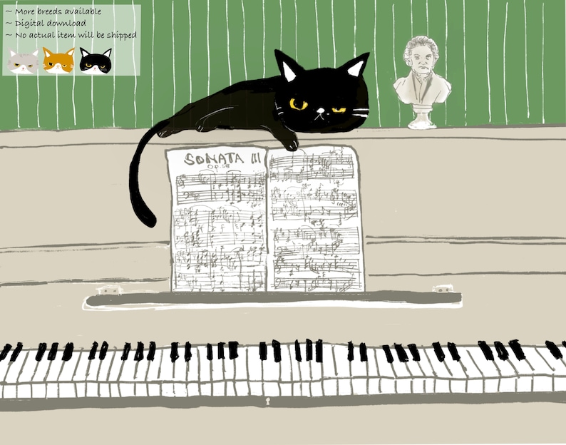 May include: A black cat with yellow eyes sits on a piano with sheet music that reads "SONATA III OP.28". The cat is looking at the sheet music. There is a bust of a person on the piano behind the cat.