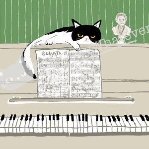 May include: A black and white cat with yellow eyes sits on a piano with sheet music that reads "Sonata in C", looking at a bust of a man.