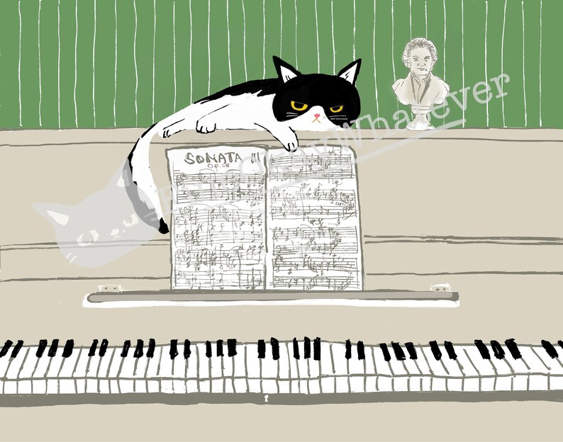 May include: A black and white cat with yellow eyes sits on a piano with sheet music that reads "Sonata in C", looking at a bust of a man.